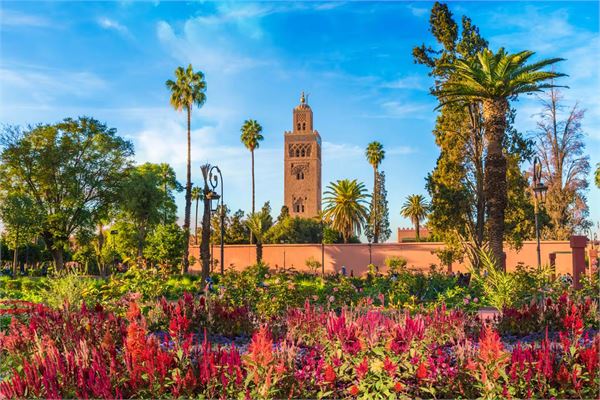 Climat de Marrakech : soleil, douceur et qualité de vie exceptionnelle